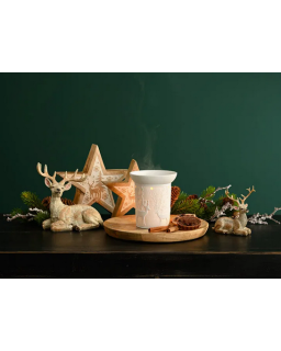 BRULEUR FORÊT D'HIVER