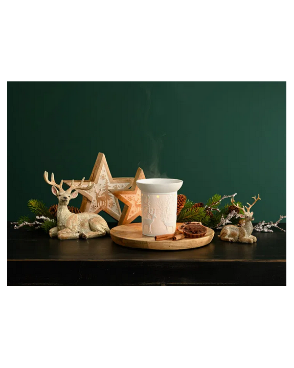 BRULEUR FORÊT D'HIVER