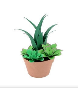 SUCCULENTES EN PAPIER