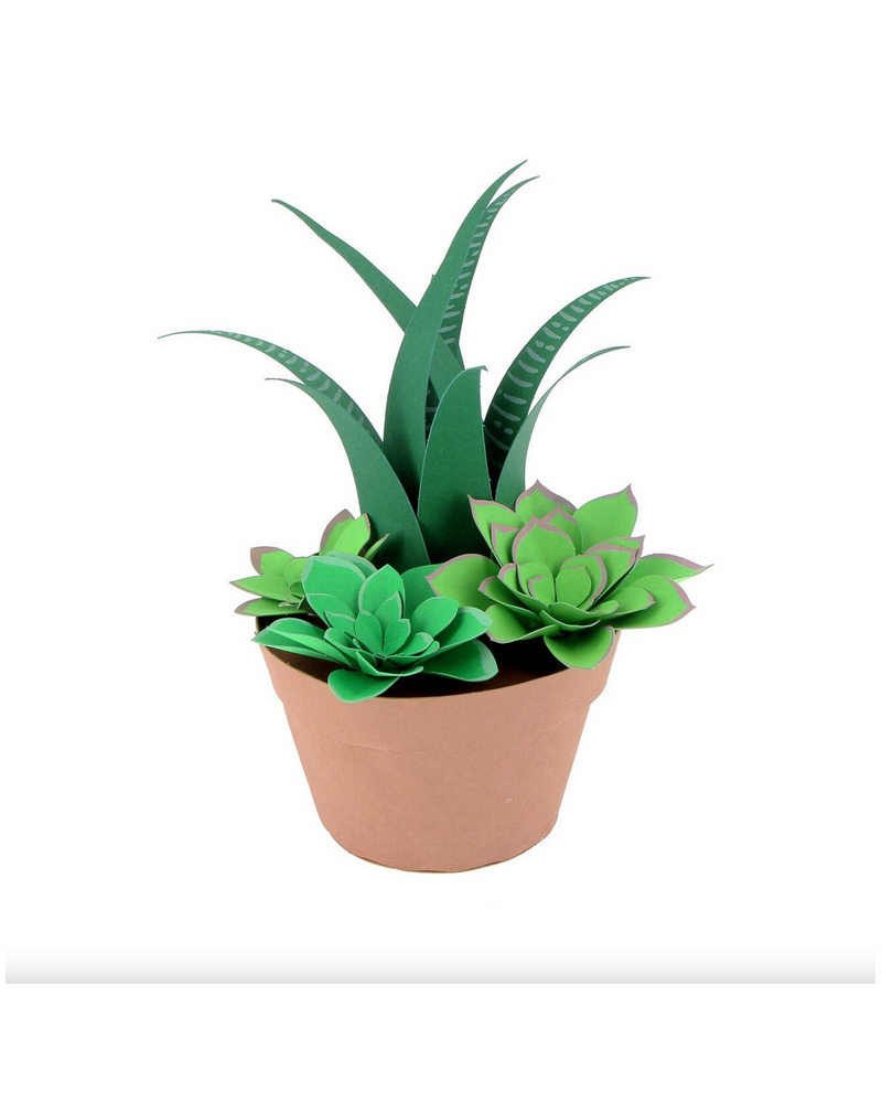 SUCCULENTES EN PAPIER