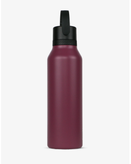 GOURDE 600ML GRAPE