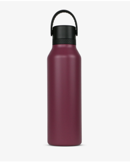 GOURDE 600ML GRAPE