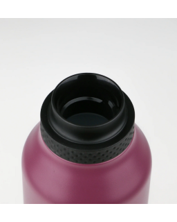 GOURDE 600ML GRAPE