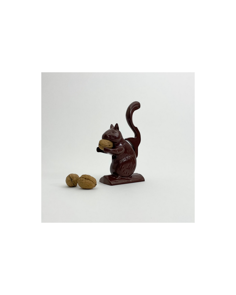 CASSE NOIX MARRON SQUIRRY