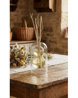 DIFFUSEUR VASE VERRE + BATONNETS