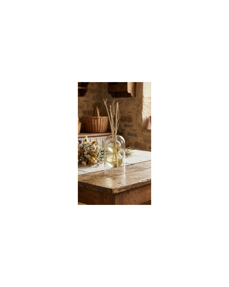 DIFFUSEUR VASE VERRE + BATONNETS
