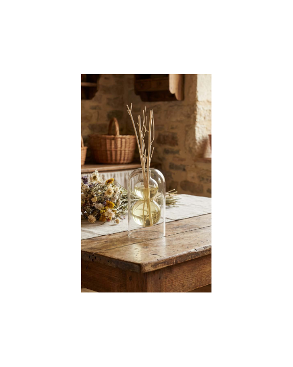 DIFFUSEUR VASE VERRE + BATONNETS