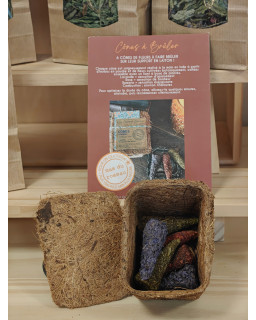 CONES D'INCENSE 6PCS PACK COCO