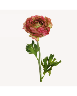 RENONCULE ARTIFICIELLE H51CM