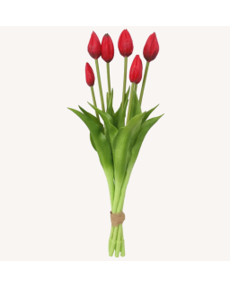BOUQUET TULIPE ROUGE