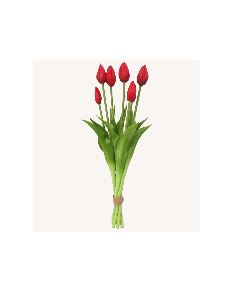 BOUQUET TULIPE ROUGE