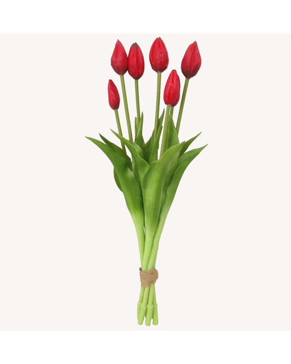 BOUQUET TULIPE ROUGE
