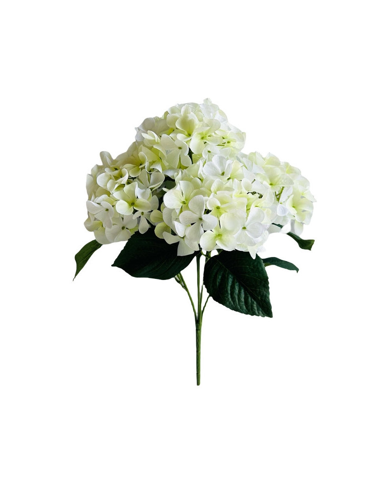 HORTENSIA BLANCHE H40CM