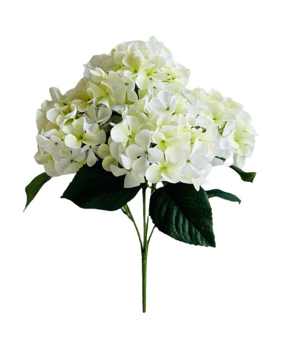HORTENSIA BLANCHE H40CM