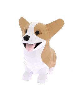 CORGI
