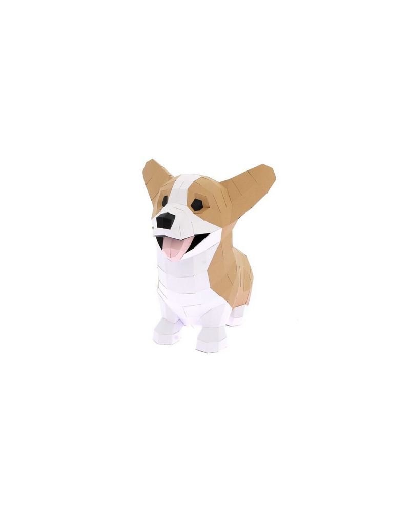 CORGI