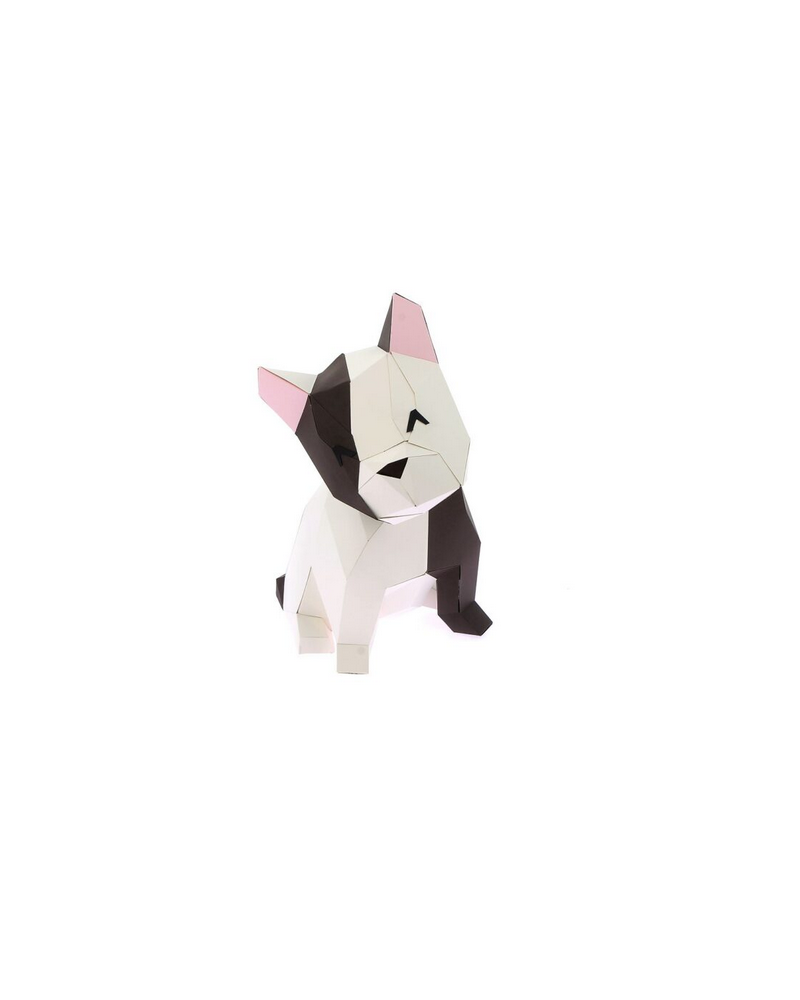 BOULEDOGUE ASSIS