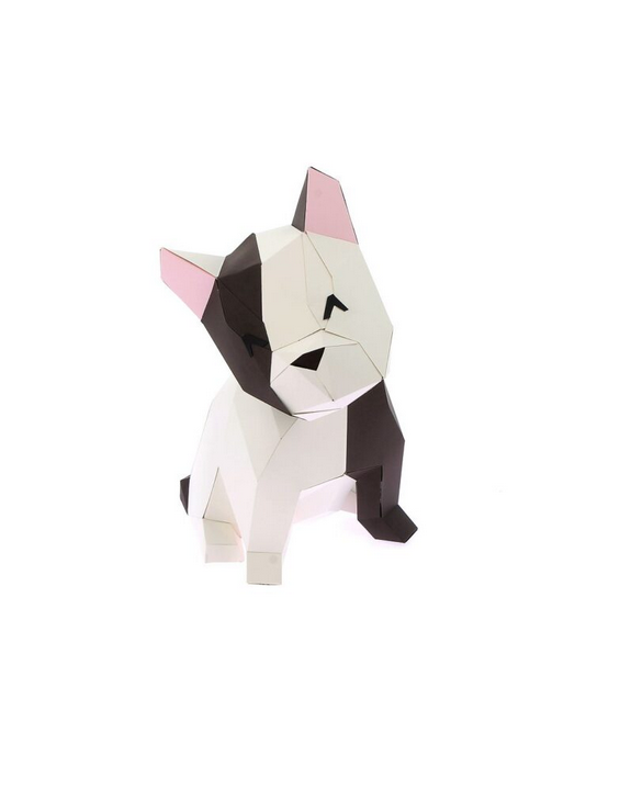 BOULEDOGUE ASSIS