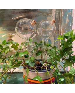 PIPETTE 1 BALL CLEAR