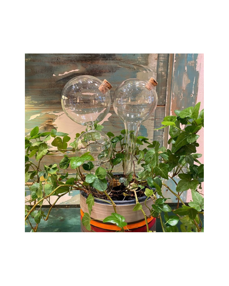 PIPETTE 1 BALL CLEAR