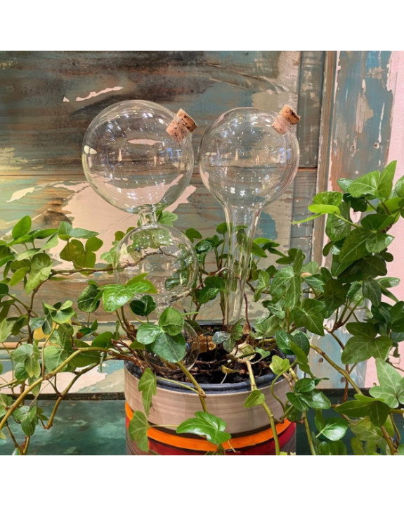 PIPETTE 1 BALL CLEAR