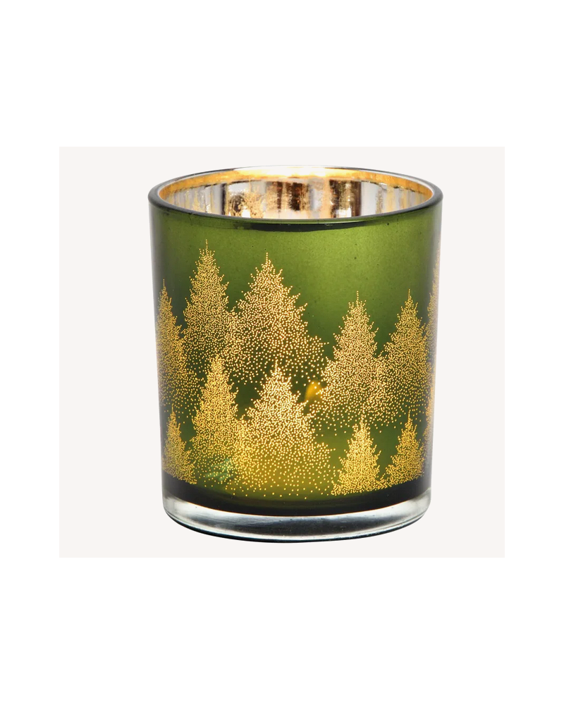 PHOT. SAPIN VERT H8CM