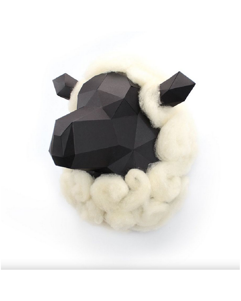 GILLES LE MOUTON AVEC LAINE