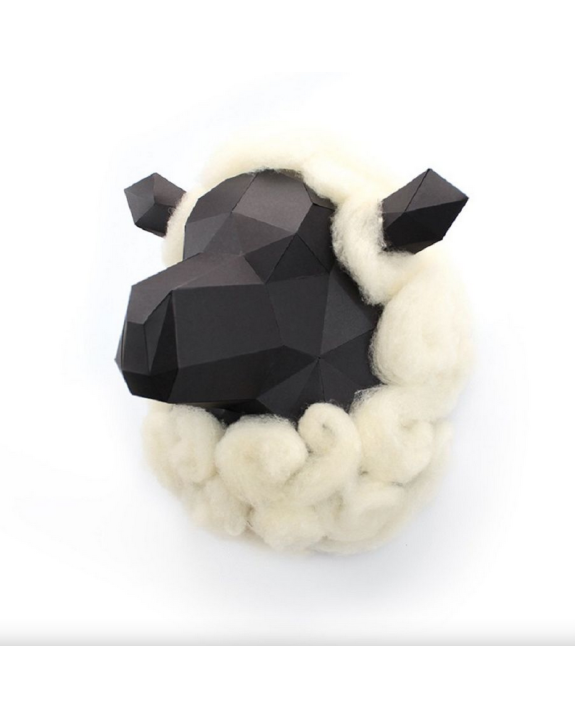 GILLES LE MOUTON AVEC LAINE