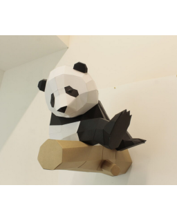 PETIT PANDA SUR BRANCHE