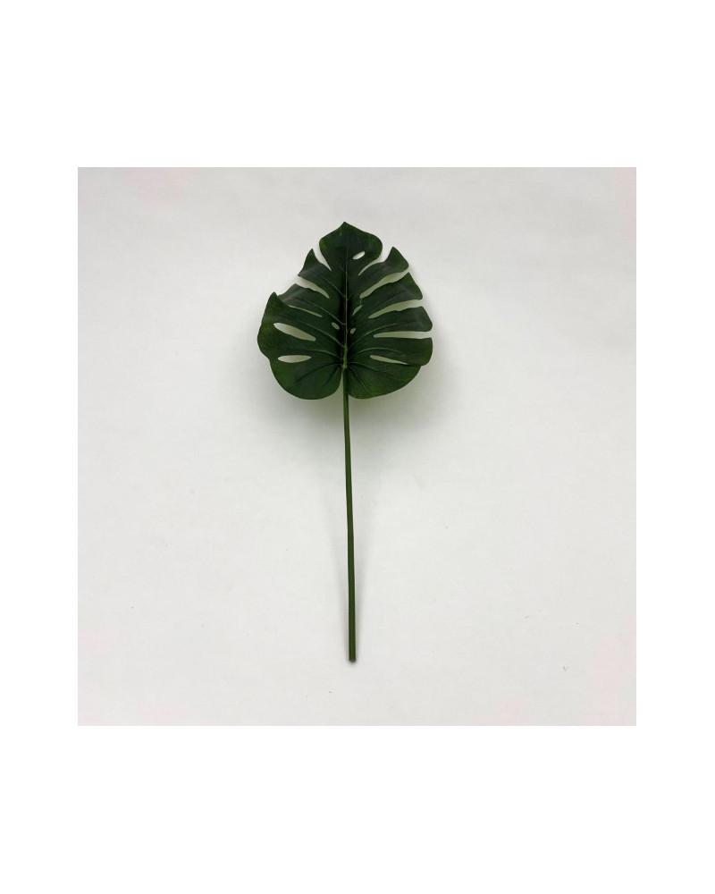 MONSTERA H73 CM