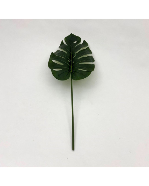 MONSTERA H73 CM