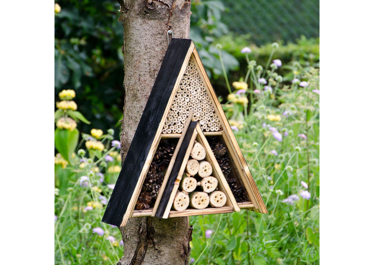 Hôtel à insectes : un atelier engagé pour la biodiversité